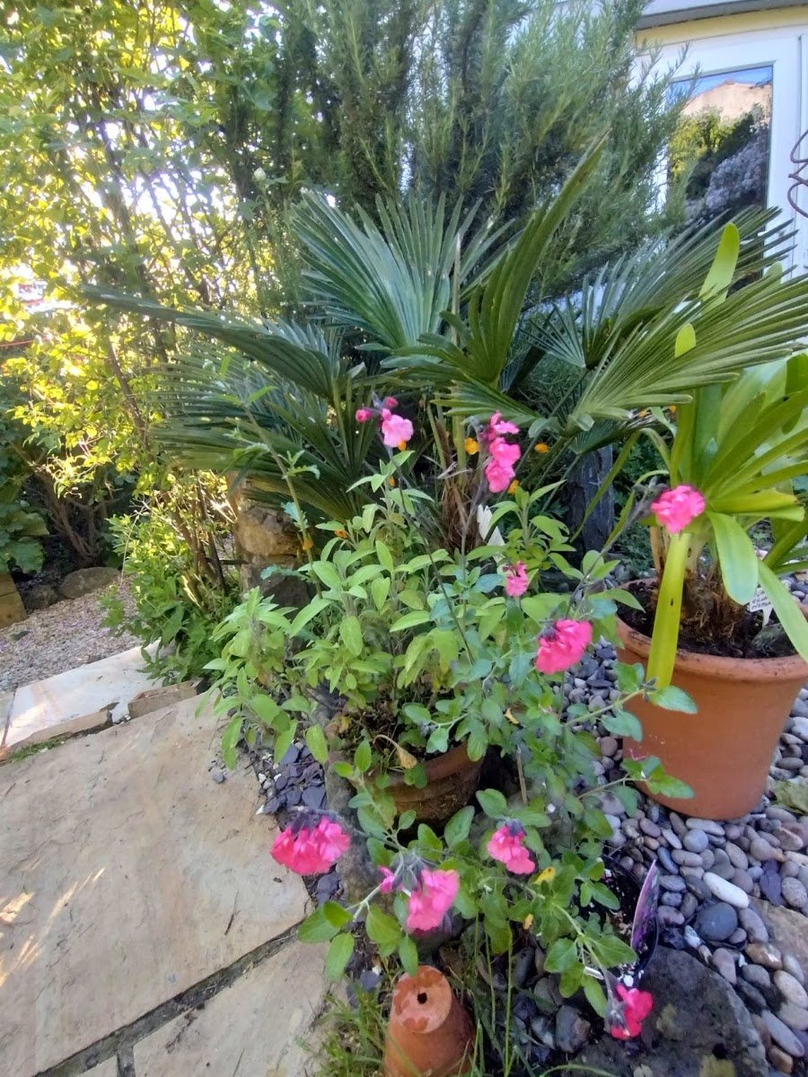 Planting schemes and new lawns