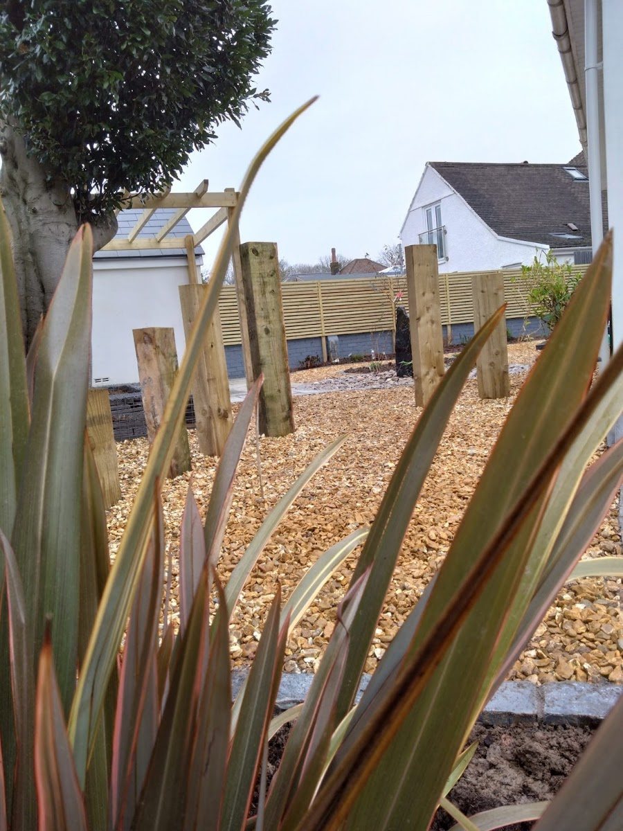 Architectural planting with gravel